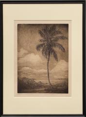 Moonlight Sonata (Key West, Florida)