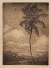 Moonlight Sonata (Key West, Florida)