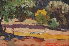 Untitled (Mountain Landscape, New Mexico)