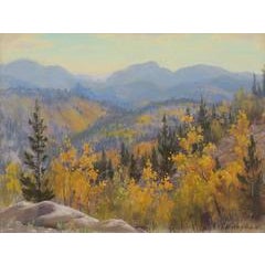 Untitled (Autumn in Colorado) 5