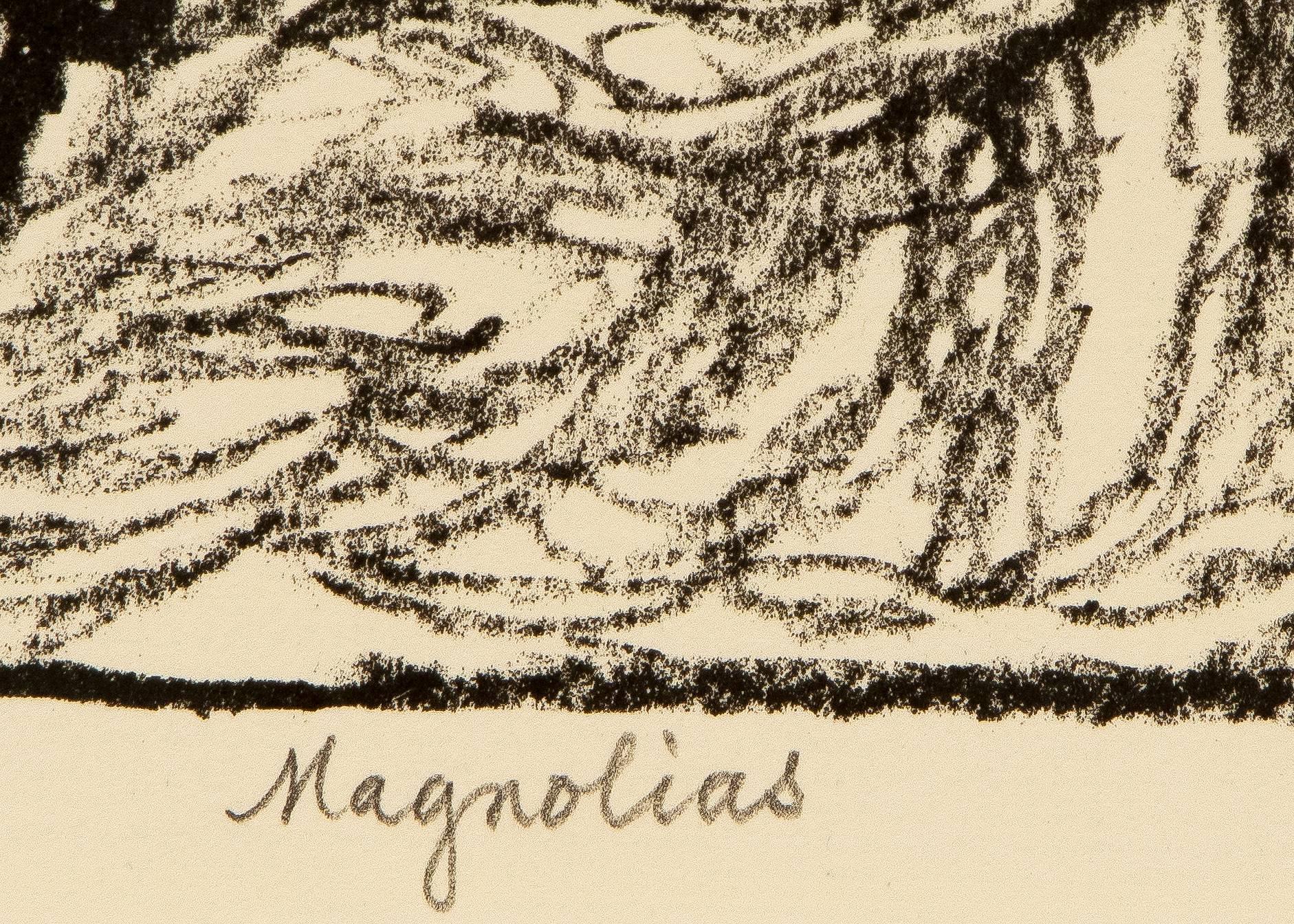 Magnolias 1