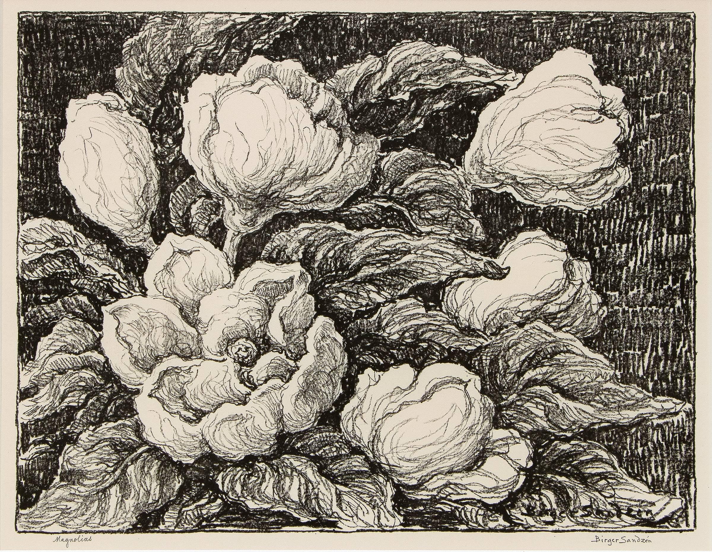 Sven Birger Sandzen Figurative Print - Magnolias