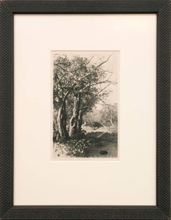 Untitled (Creek and Trees)