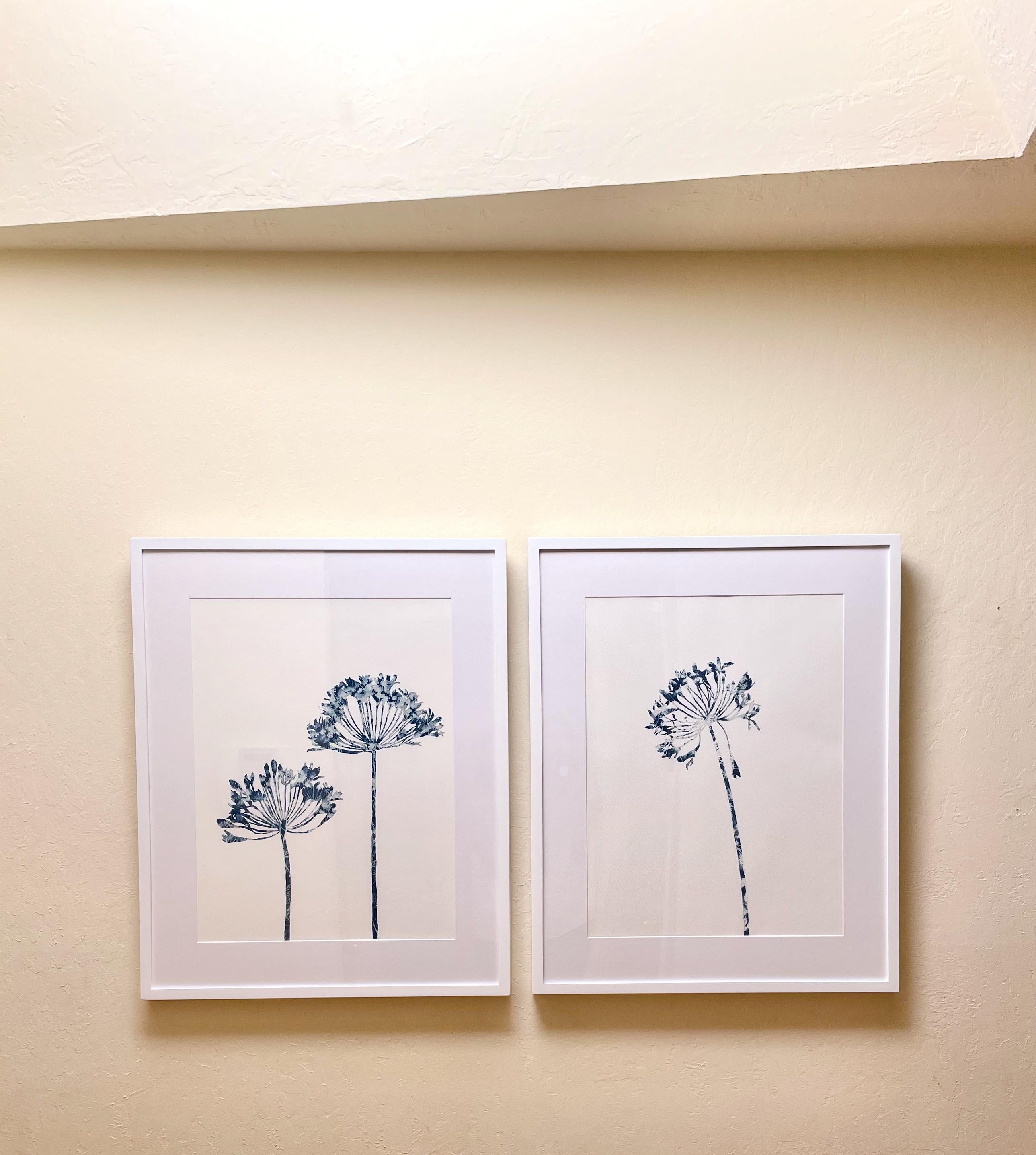 ON EXHIBITION .

Framed in a 31 x 25 x 1.5 inch deep white wood frame with deep sides.

This is a combination of painting and photography, the antique cyanotype process. The silhouette of the plant was first drawn, then painted not with ink or