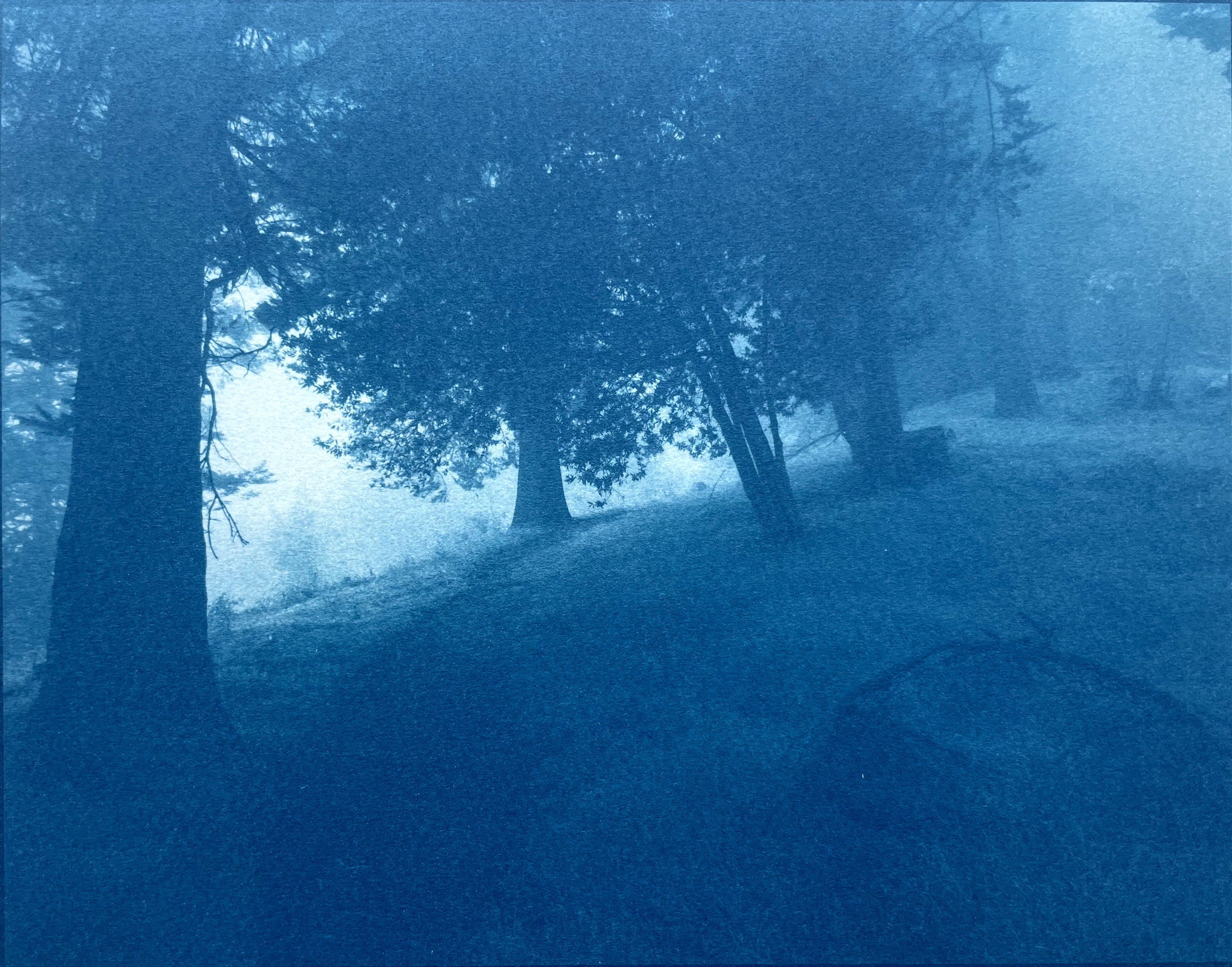 Christine So Landscape Print - A Light in the Distance (cyanotype, 7.5 x 11 in., ed. 1/3, Landscape)