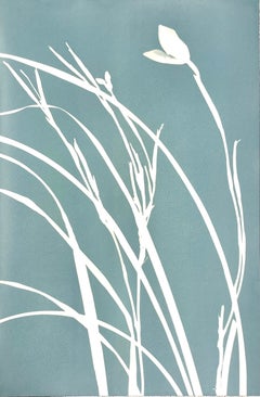 Silver Iris II (18 x 12 inch original gray cyanotype)