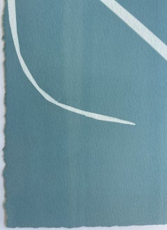 «Iris plateado» (cianotipo/monotipo gris de 33 x 23 pulgadas)