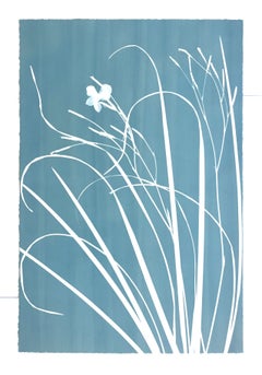 Silver Iris (33 x 23 inch cyanotype) - Contemporary Art