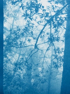 „The Forest Beckons“, Auflage 1 von 5 (handgedruckte Cyanotypie, 17 x 11 Zoll)