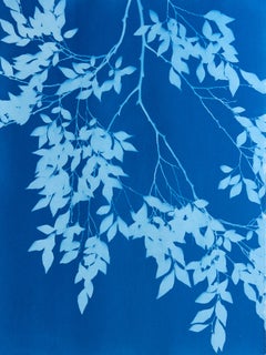 Blue Elm Diptych (Pair of botanical cyanotypes, 24 x 18" each)