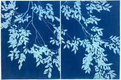 Blue Elm Diptych (Pair of botanical cyanotypes, 24 x 18" each)