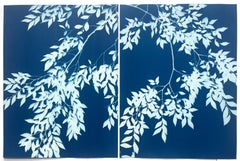 Diptyque « Pale Blue Elm » (Paire de cyanotypes botaniques, 24 x 18 pouces chacun)