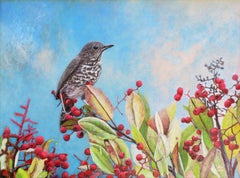 A World Above - Hermit Thrush