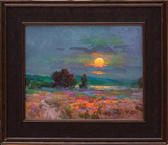 California Poppy Fields
