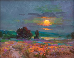 California Poppy Fields