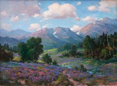 Summer in Idaho