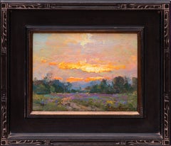 Summer Sunset
