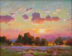 Sunset in Idaho
