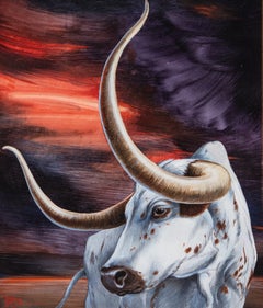 Longhorn Sunset