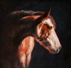 Appaloosa