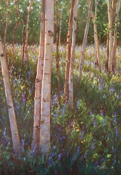 High Country Sanctuary