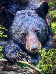 Paws in the Forest
