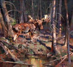 Forest Clearing