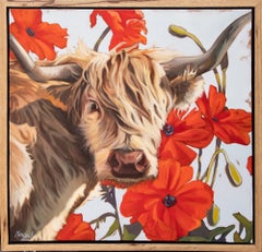 Crimson and Coo, dipinto a olio originale 24 x 24 raffigurante una mucca delle Highlands