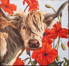 Crimson and Coo, dipinto a olio originale 24 x 24 raffigurante una mucca delle Highlands