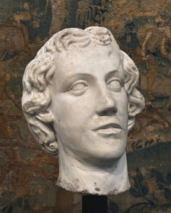 Large Head of Alexander the Great in Italian Renaissance Marble, 16th Century