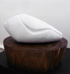 Cone Shell