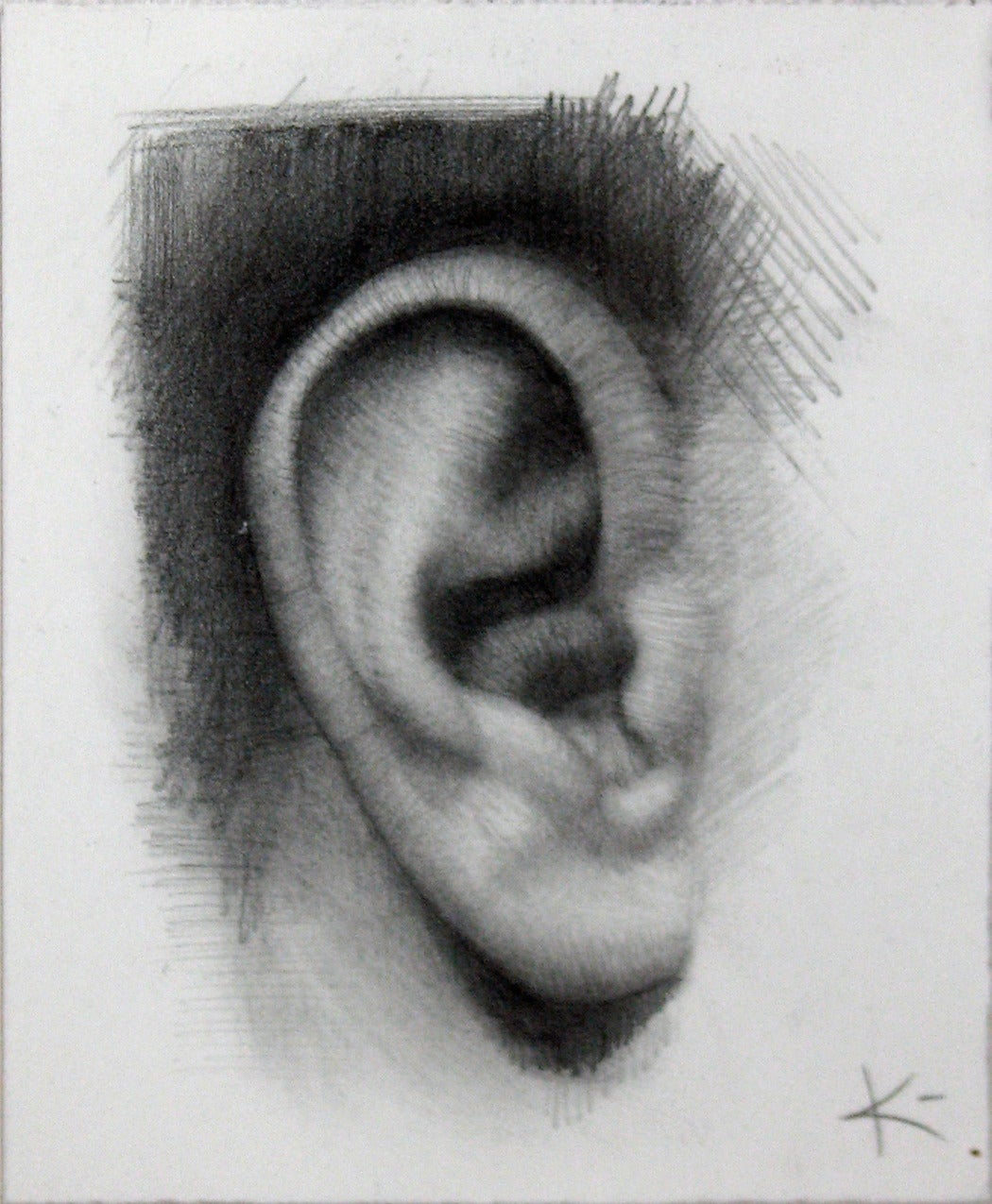 MY EAR, black and white, drawing, hyper-realistic, human ear - Art by David Kassan