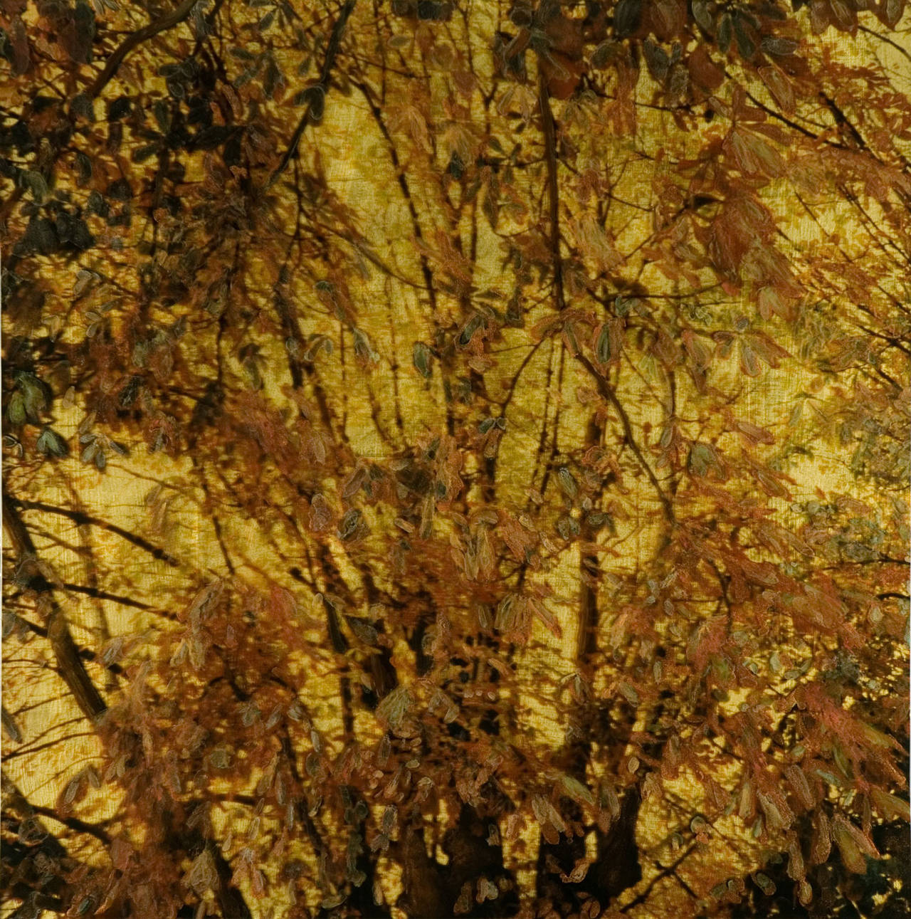 NO. 165, depiction of trees, nature, gold, brown, branches of tree, leaves - Mixed Media Art by Susan Goldsmith