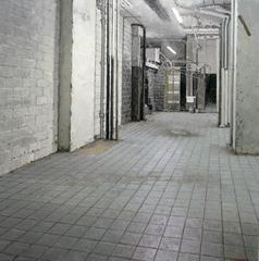 Gutted Interior 12