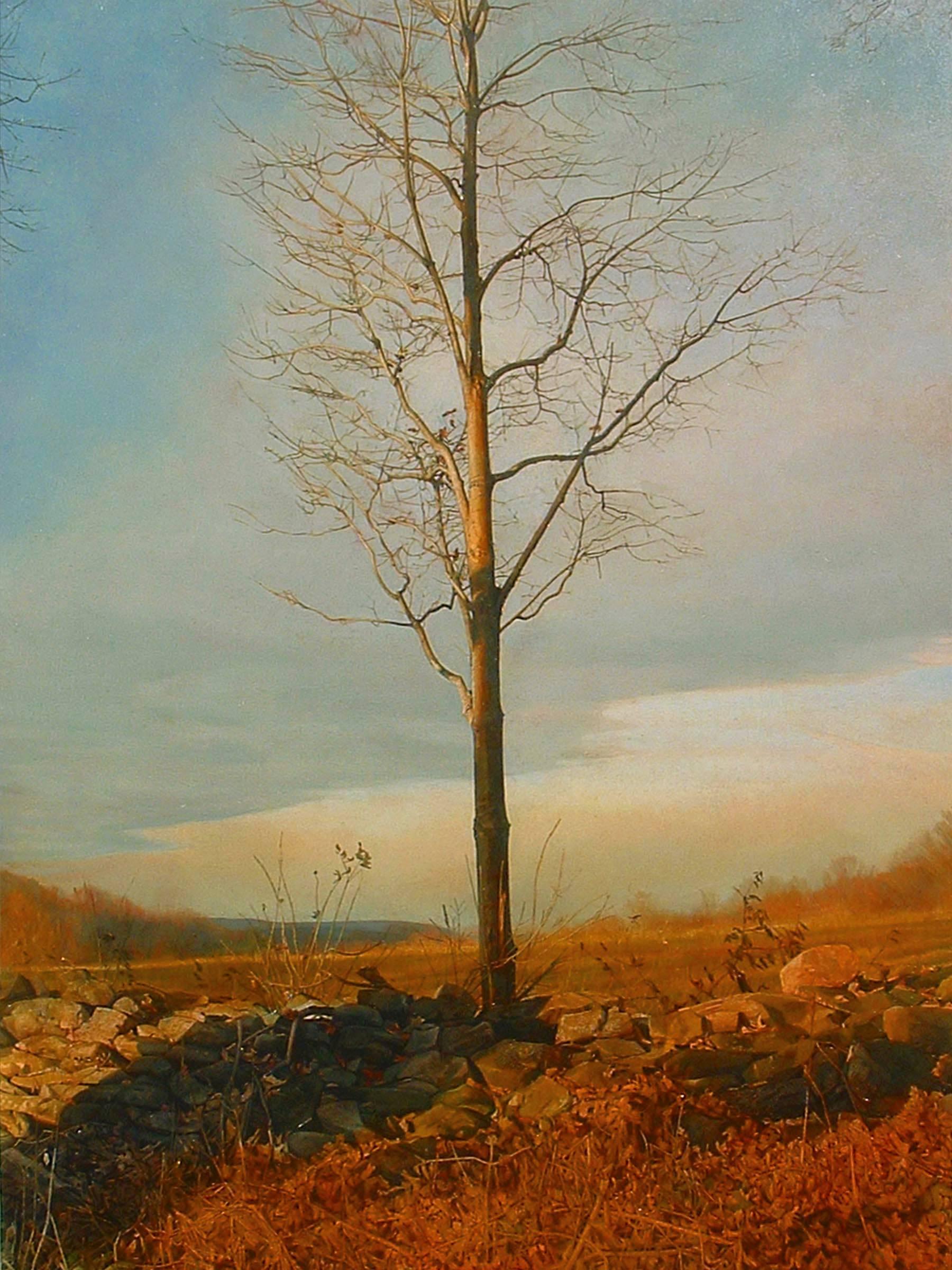Trey Friedman Landscape Painting - TREES ON A LINE #53A, photo-realism, tree, field, country landscape