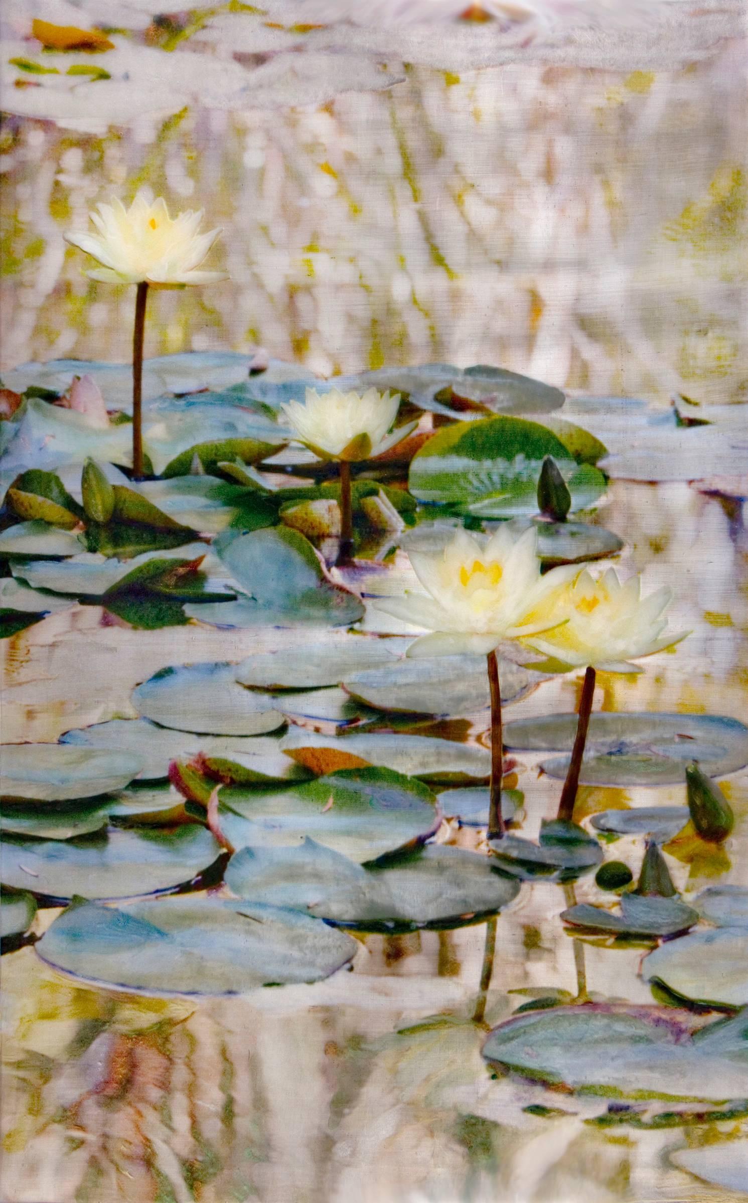 Susan Goldsmith Figurative Painting - 73 Lotuses