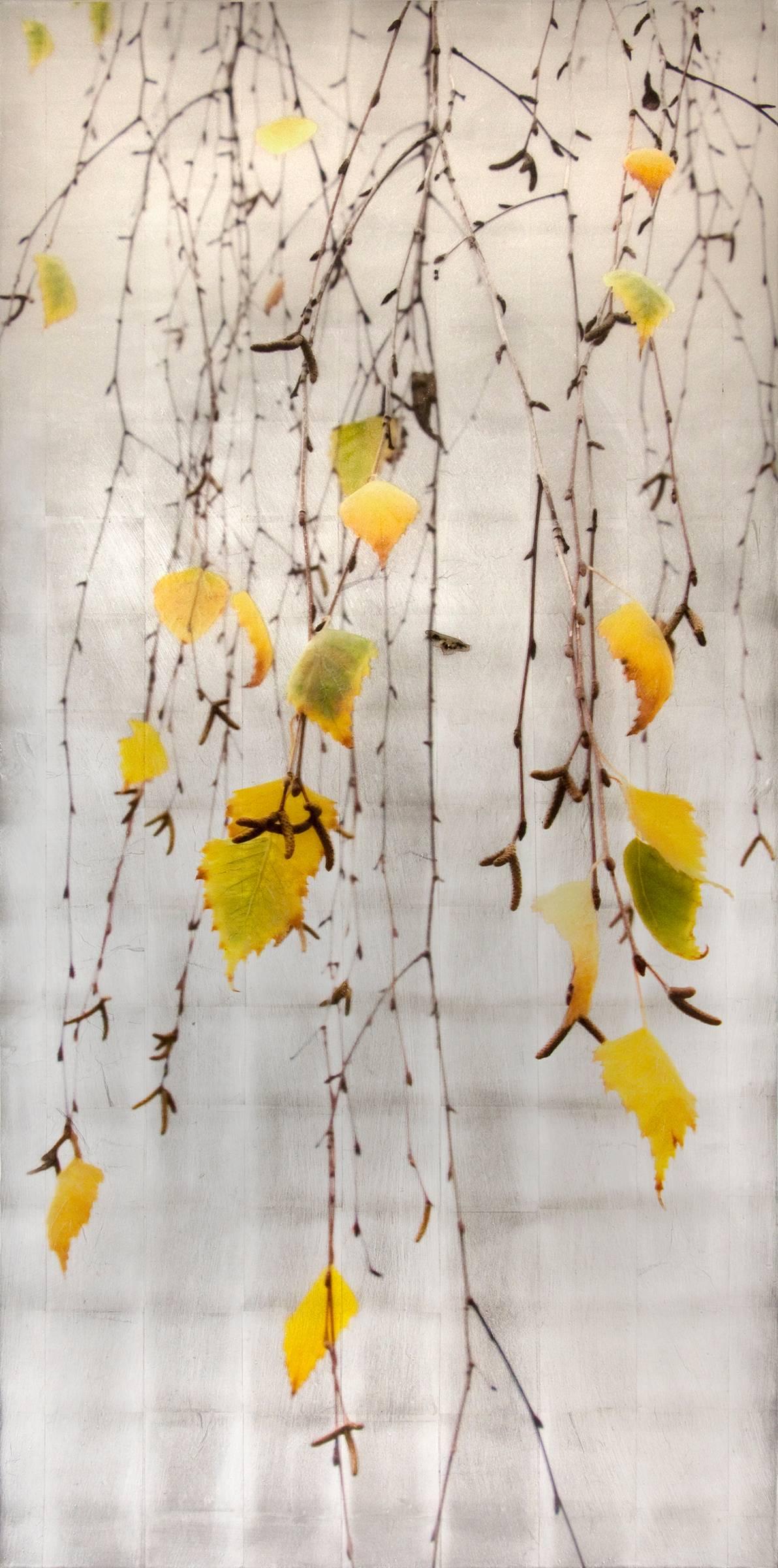 Autumn Echo, Leaves, Tree, Fall, Yellow, Brown, Silver - Mixed Media Art by Susan Goldsmith