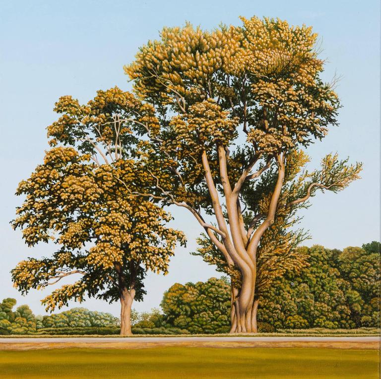 Two Trees In Holmdel