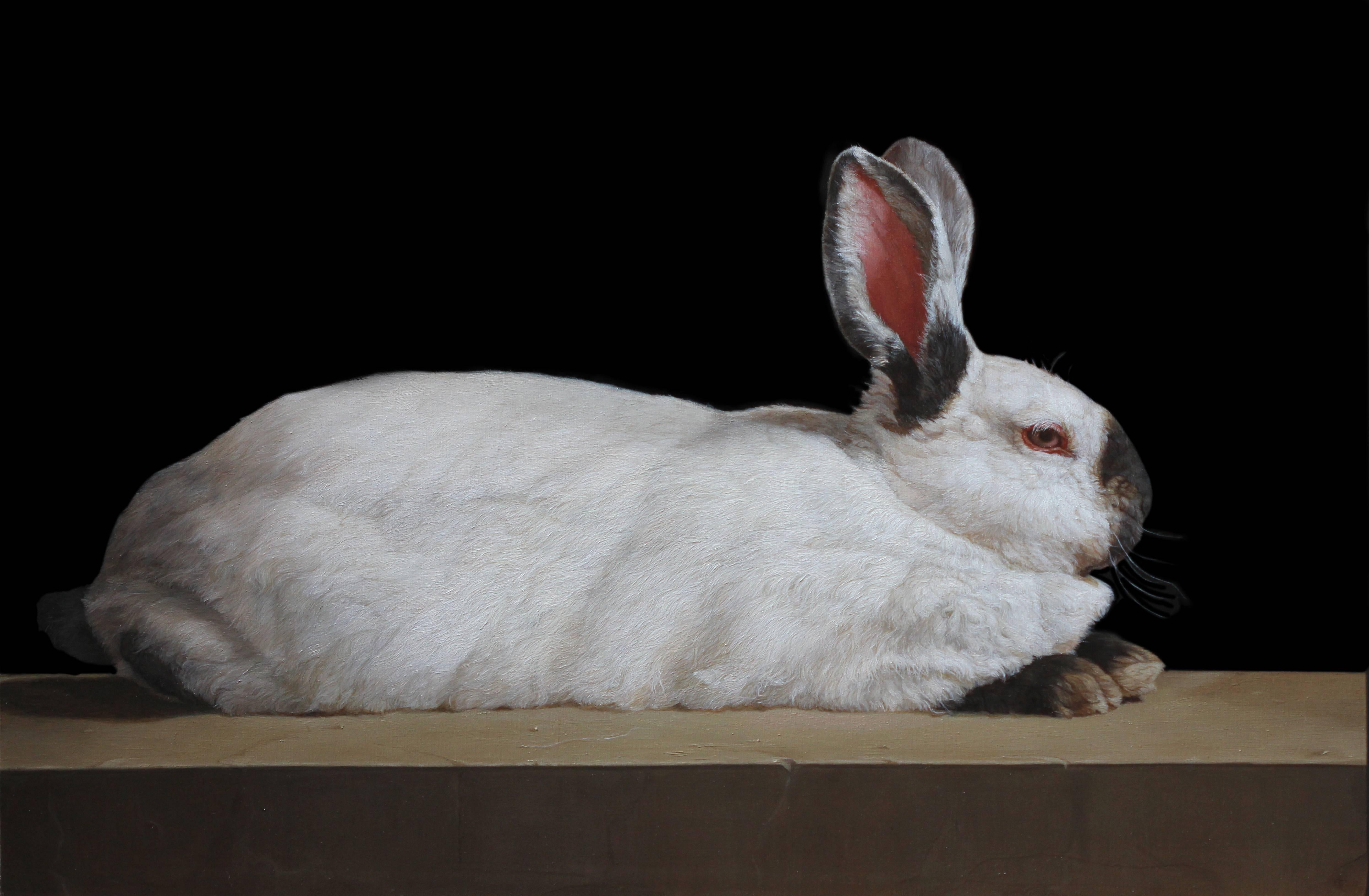 Patricia Traub - A Resting Himalayan Rabbit For Sale at 1stDibs
