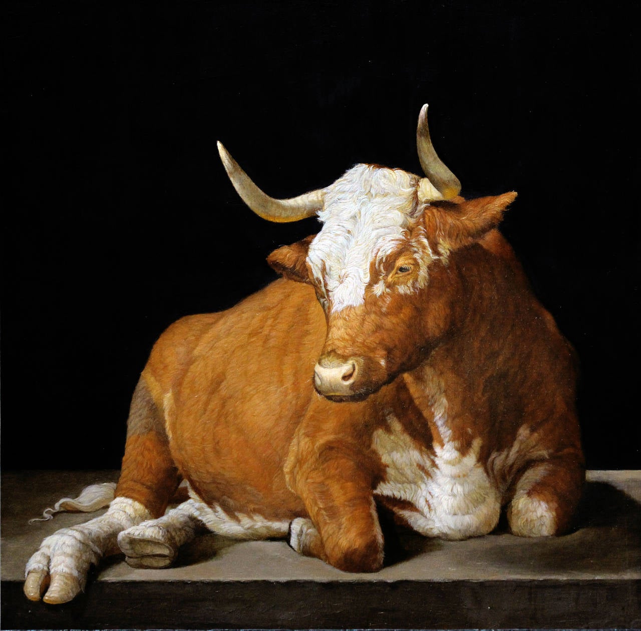 Patricia Traub Animal Painting - Lineback Cow