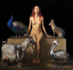 The Animal Watcher