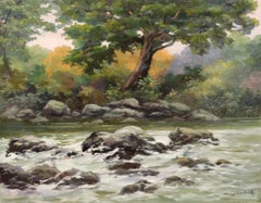 Luce tra gli alberi - Olio su tela - Senza cornice
