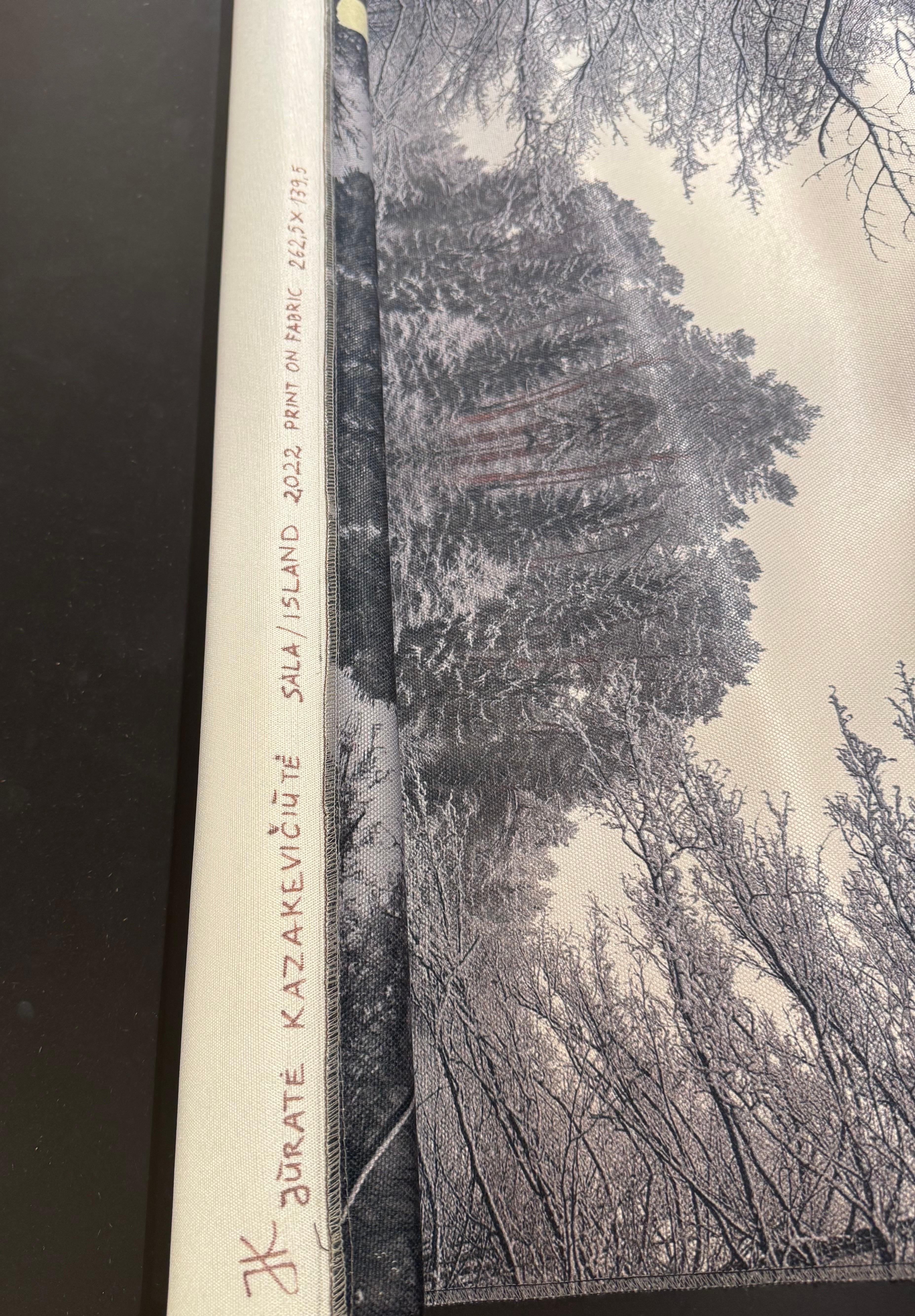 Photographic Composition Print on Silky Fabric Forest in the Island - Landscape For Sale 5