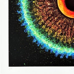 Katzenaugennebel NGC 7293, Original-Giclée, abstrakt, signiert, in hervorragendem Zustand