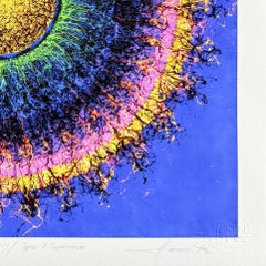 Type II Supernova, Original Giclée, Abstract, Signed, Excellent