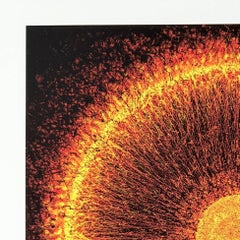 Einstein Ring, Original Giclée, Abstract, Signed, Excellent