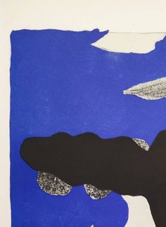 Carnets intimes de Braque V, Lithograph, Modern, 1955, Excellent