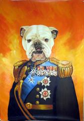 Prince Bulldog Winston 1