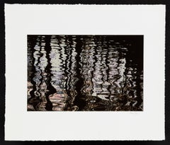 Forest Reflections, Contemporary Color Photograph, Signed Iris Print