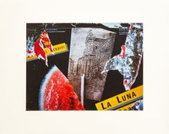 Digital Photography Collage, Contemporary Chromogenic Print, Signed